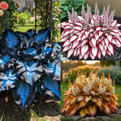 🔥Last day clearance🔥Premium Rare Hosta Seeds🌌Shade-Tolerant Plant