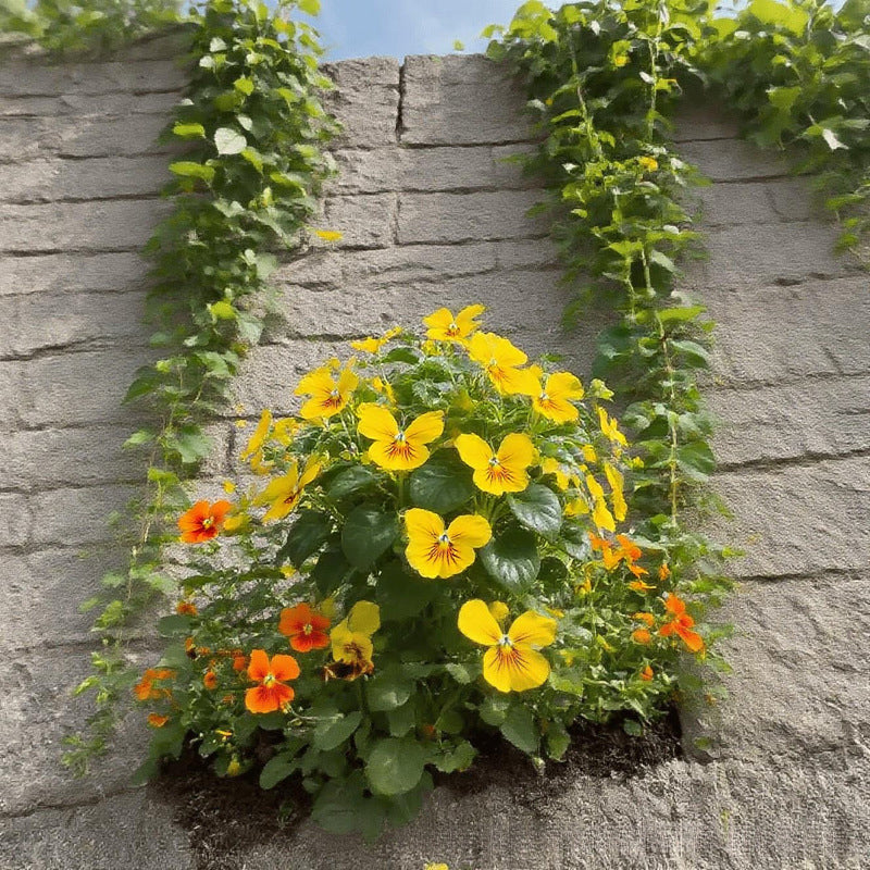 🦋 Whimsical Butterfly Shaped Flower Seeds ✨