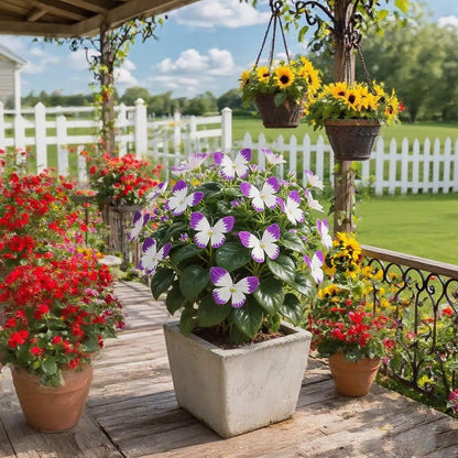 🦋 Whimsical Butterfly Shaped Flower Seeds ✨