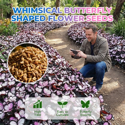 🦋 Whimsical Butterfly Shaped Flower Seeds ✨